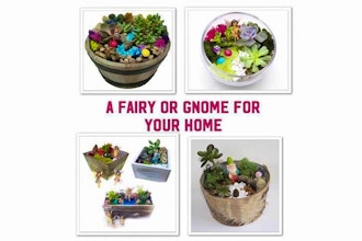 All Ages Plant Nite: Gnome & Fairy Pick-Your-Planter